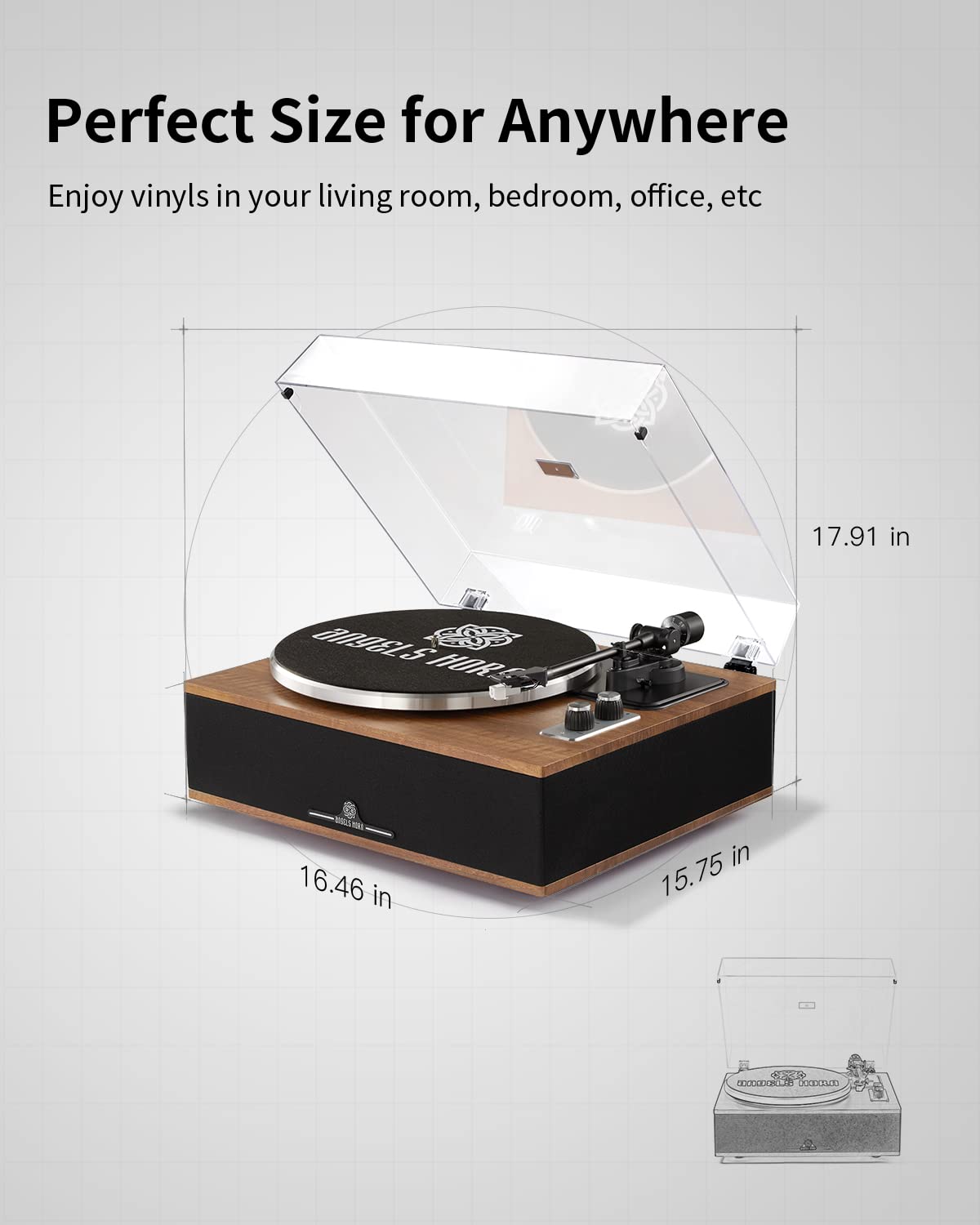 ANGELS HORN Vinyl Record Player, Bluetooth Turntable with Built in Speakers Phono Preamp, High Fidelity Turntables for Vinyl Records with Magnetic Cartridge AT-3600L, Belt Drive 2-Speed ANGELS HORN