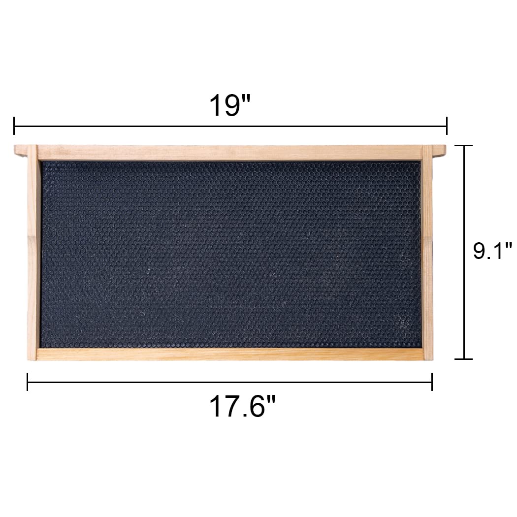 Honey Lake 10 Frame Bee Hive Box, Langstoth Deep Brood Bee Box Dipped in 100% Beeswax Includes Beehive Frames and Waxed Foundations, Beehive Box for Beginner Beekeeper (Unassembled) Honey Lake
