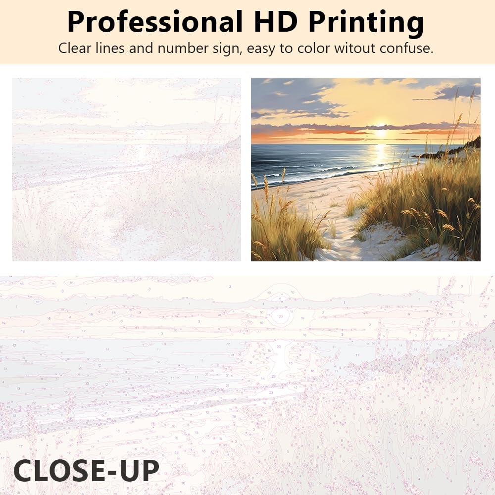 Rebotipy Paint by Number Kits for Adults Beginners, Easy Acrylic Simple Sunset on The Beach Adult Paint by Number Kits, DIY Dunes and Grass Paint by Numbers Kits for Home Wall Decor 16x20inch Rebotipy