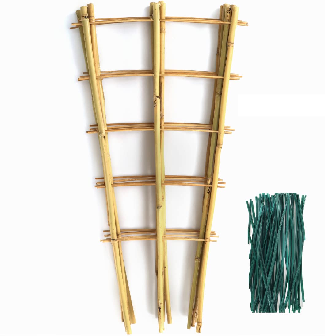 SWANGSA 6 Pack Bamboo Trellis 24 Inches for Climbing Plants, Fan-Shaped Bamboo Plant Trellis Cucumber Tomato Trellis with 50pcs Twist Ties for Outdoor and Indoor Potted Plants SWANGSA
