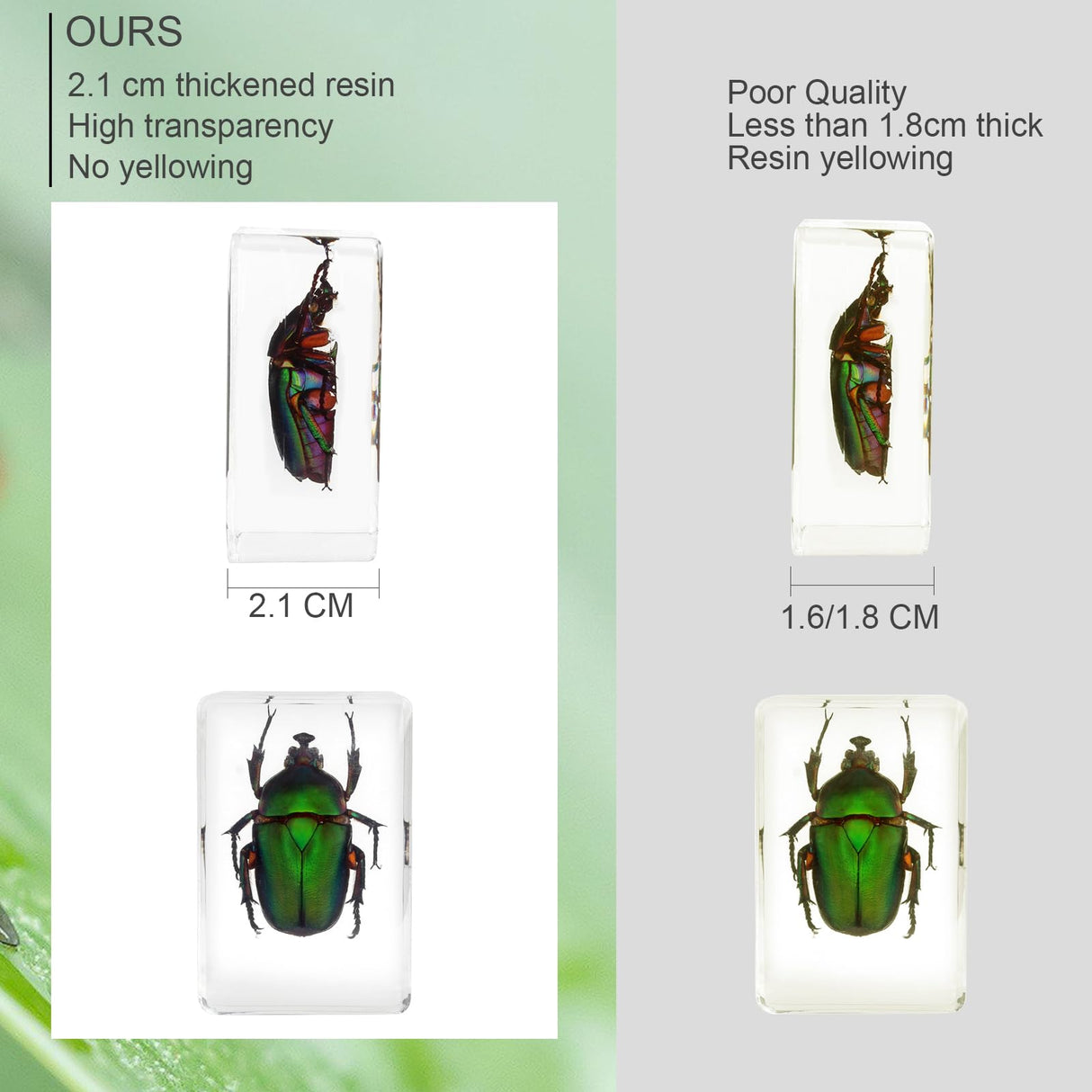 12 Pcs Insect Resin Specimen, Real Bugs Kit for Kids Science Toy Biology Education Insect Collection Resin Specimen Gift Home Decoration TINGLAN
