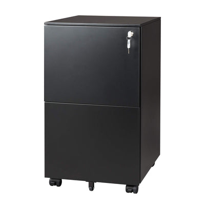 DEVAISE 2-Drawer Mobile File Cabinet with Lock, Commercial Vertical Cabinet in Black