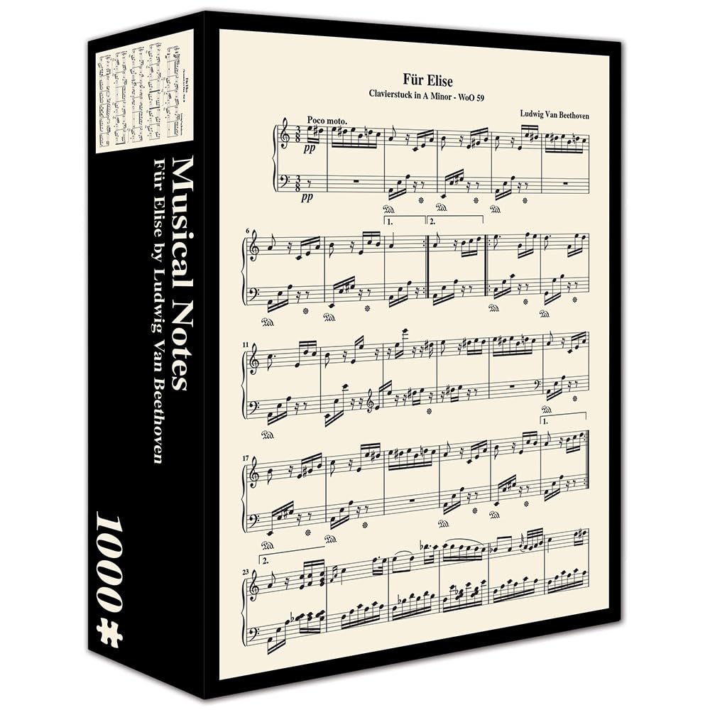 Musical Notes Fur Elise by Ludwig Van Beethoven 1000 Piece Jigsaw Puzzle for Adults by Pigment & Hue Generic