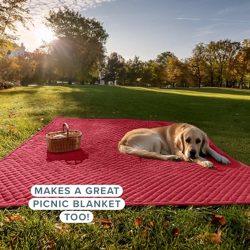 Bare Home Coverlet Set - Full/Queen - Lightweight Bed Decor - Comforter Alternative - All-Season Quilted Bedspread (Full/Queen, Red) Bare Home