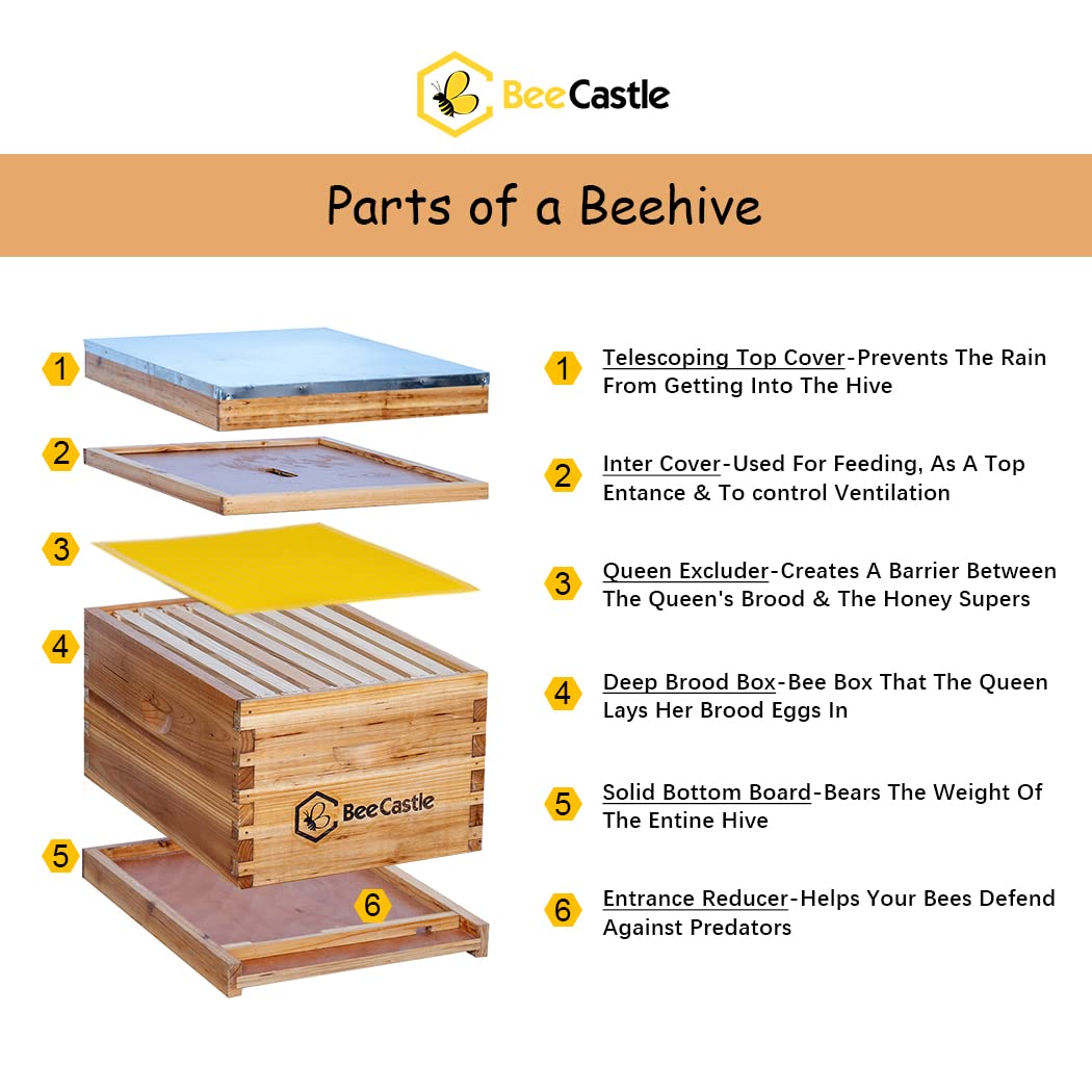 BeeCastle 8-Frame Bee Hives and Supplies Starter Kit,Beehive Kit Dipped in 100% Beeswax,Bee Keeping Supplies-All Beginners Kit Includes Beekeeping Supplies Tool Set and Bee Suit. BeeCastle