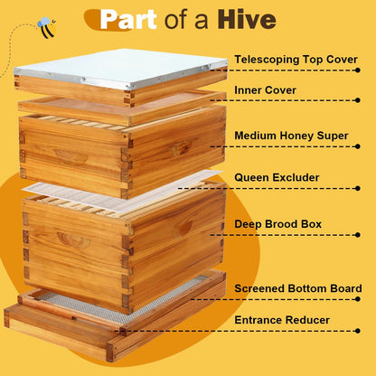 BEEKNOWS 8 Frame Beehive Kit with Screened Bottom Board Dipped in 100% Beeswax Bee Hive Boxes Starter Kit for Bee Keekeepers - Langstroth Beehive Kit with 2 Honey Bee Hives Boxes