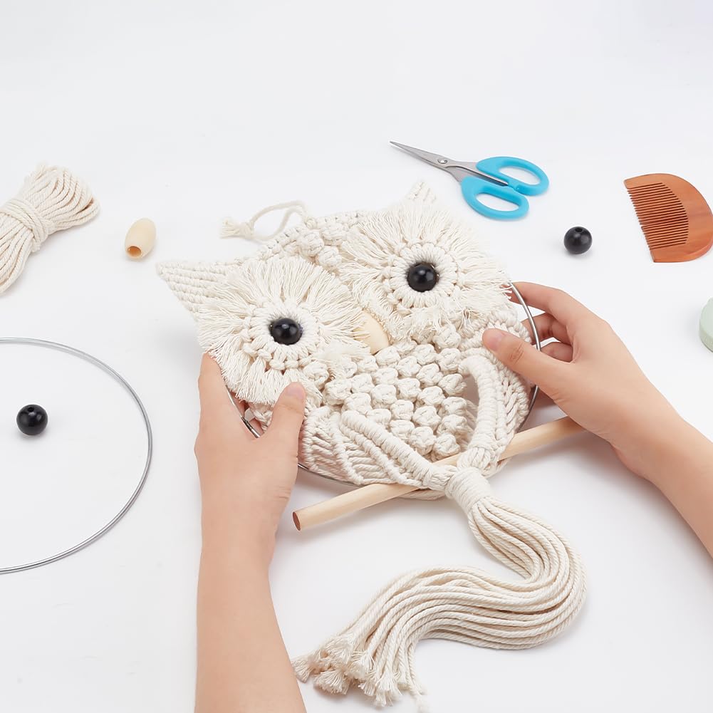 FREEBLOSS Macrame Owl Kit for Beginners Macrame Wall Hanging Kit DIY Macrame Kit with Video Tutorial Macrame Hanging Decor for Adults Gift, Naturally white FREEBLOSS
