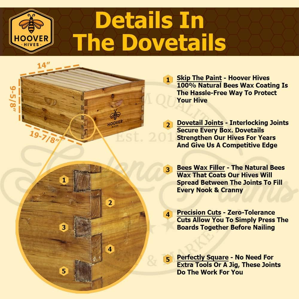 Hoover Hives 8 Frame Beehive Kit - Dipped in 100% Beeswax Includes Wooden Frames & Waxed Foundations (2 Deep Boxes, 1 Medium Box) Hoover Hives