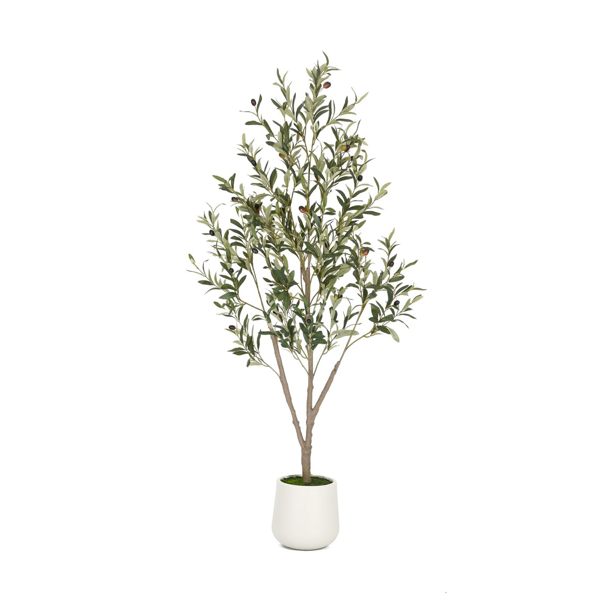 VIVATREES Olive Trees Artificial Indoor, 5FT Tall Faux Olive Tree with White Tall Planter, Artificial Plants with Natural Wood Trunk and Lifelike Fruits for Home Office Decor VIVATREES