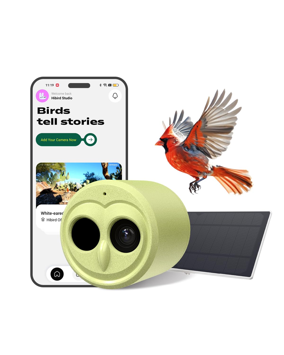 Hibird 4K HD Smart Bird Feeder Camera Solar Powered, 2.4G/5G Dual WiFi Wireless Outdoor, 6X Slow Motion Auto Bird Video Capture, Instant Notifications, AI Identify 10000+ Species for Bird Lover Camojojo