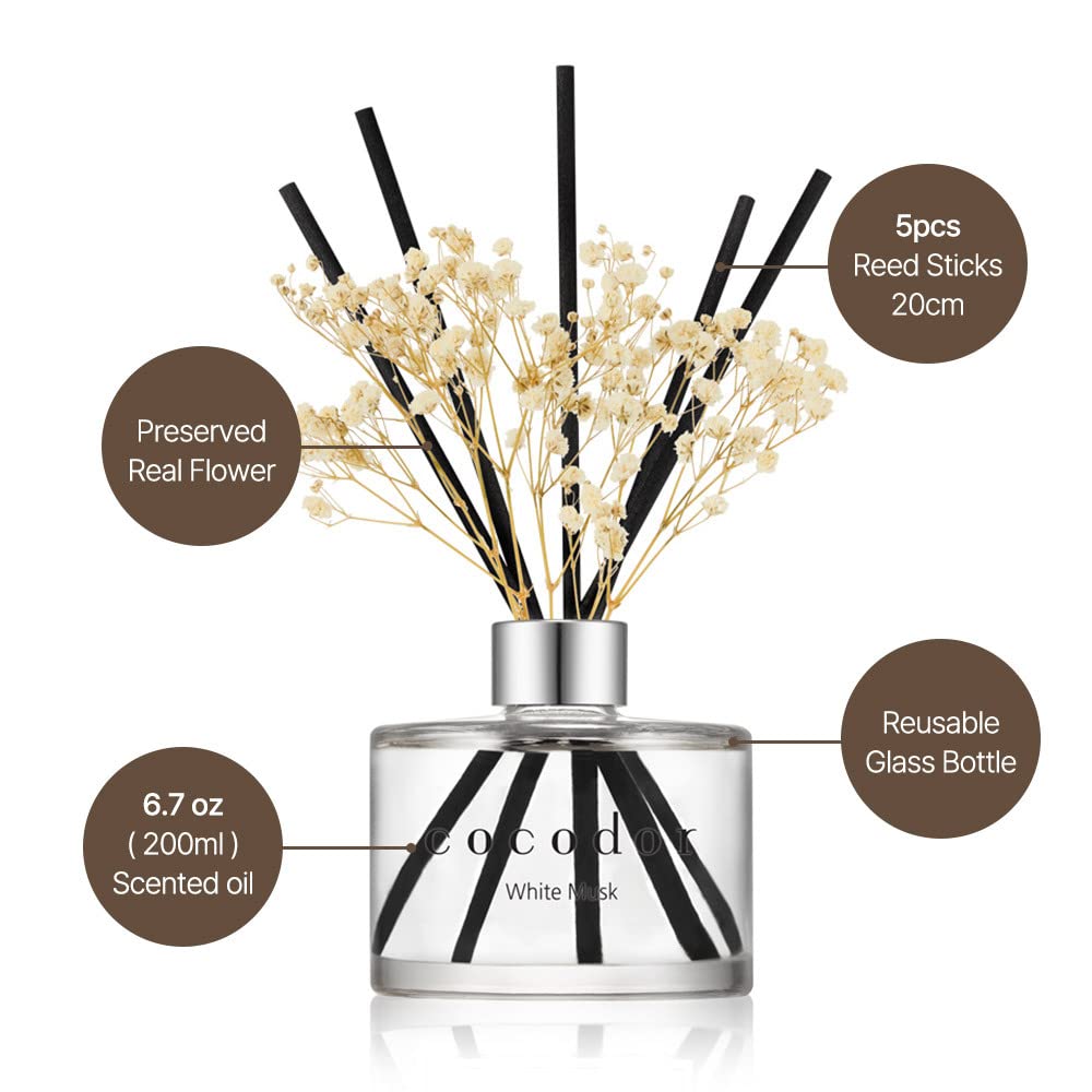 COCODOR Preserved Flower Reed Diffuser/Cedar Wood/6.7oz/1Pack / Home Fragrance Scent Essential Oil Stick Diffuser for Bedroom Bathroom Home Décor Cocod'or