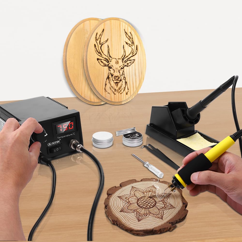 2 IN 1 Wood Burning Kit 100W with 2 Wood Burning Pens, 165 Pcs Pyrography Wood Burning Kit with 113 Solid Points and 33 Wire Nibs, Temperature Adjustment 300~750°C, Wood Burner for wood and leather XIIW
