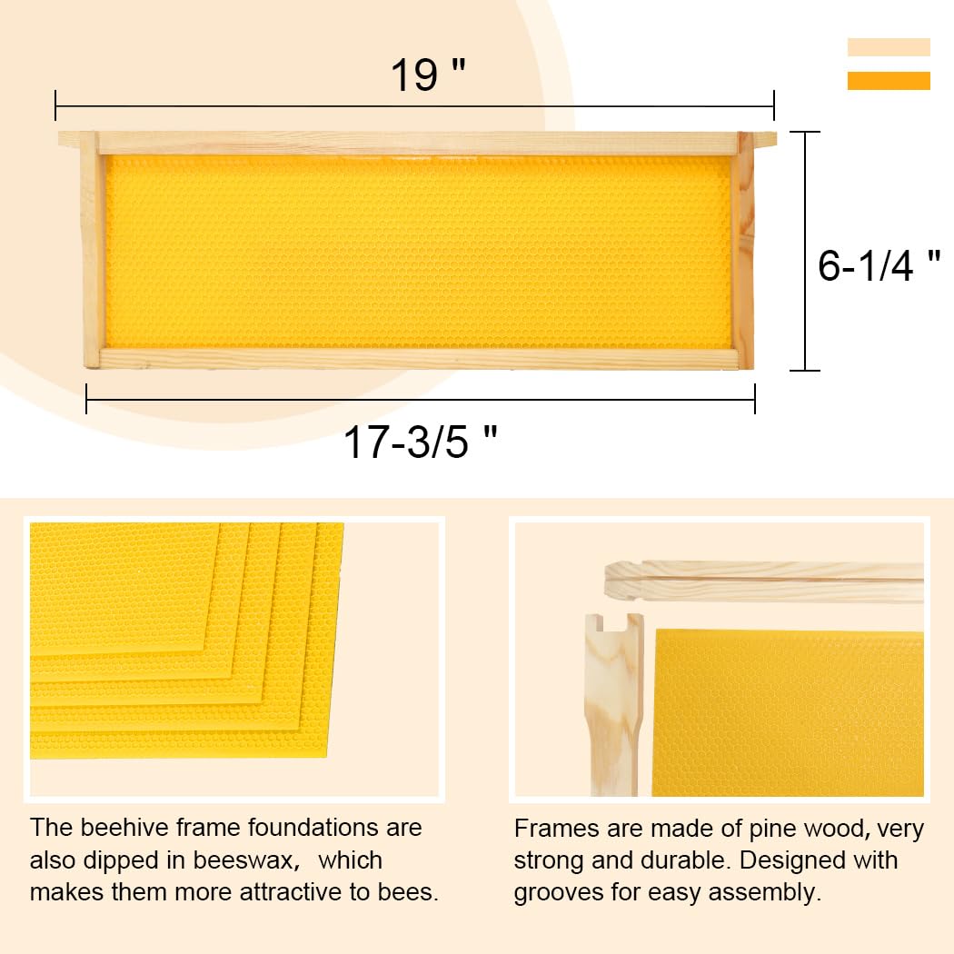 BEEINN 10 Frame Bee Hive Box, Langstroth Medium Super Bee Box Dipped in 100% Beeswax Include Beehive Frames and Waxed Foundation Sheets (Unassembled) BEEINN