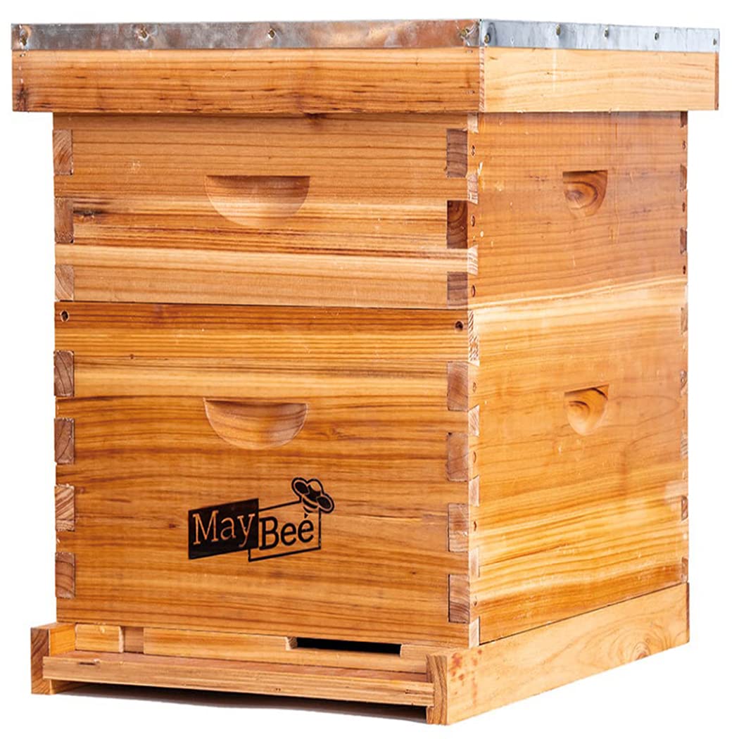 Bee Hive 10 Frame Bee Hives and Supplies Starter Kit, Bee Hive for Beginner, Honey Bee Hives Includes 1 Deep Bee Boxes, 1 Bee Hive Super with Beehive Frames and Foundation MayBee