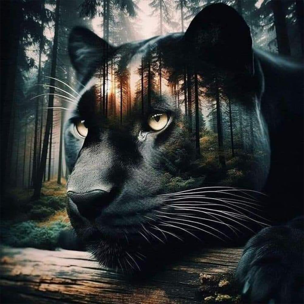 Anuver Landscape Diamond Painting Kits for Adults, 5D DIY Diamond Art Kits for Beginners, Full Drill Diamond Painting Kits for Home Wall Decor, Black Panther 12x12 Inch Anuver