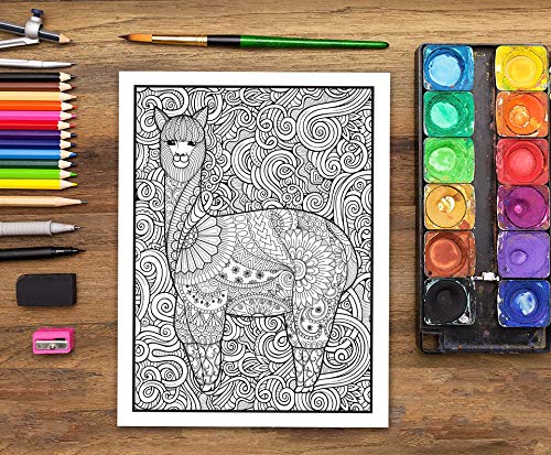 Fantastic Animals: A Wild Adult Colouring Book Gray & Gold Publishing
