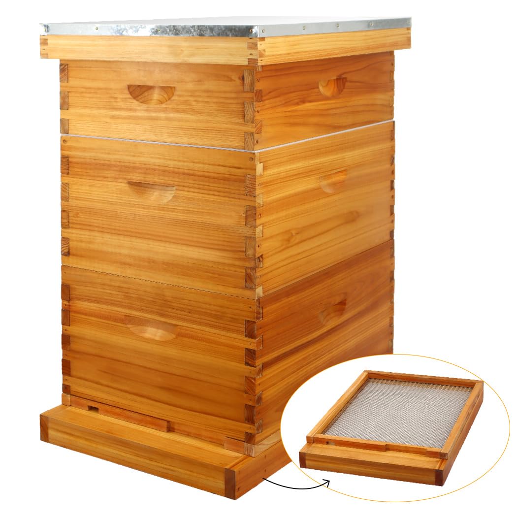 MayBee 10 Frame Screened Bottom Board Beehive Dipped in 100% Beeswax, Bee Hives Kit Includes 2 Deep Boxes & 1 Medium Box with Beehive Frames and Heavy Wax Coated Foundations.Preferred for Summer. MayBee