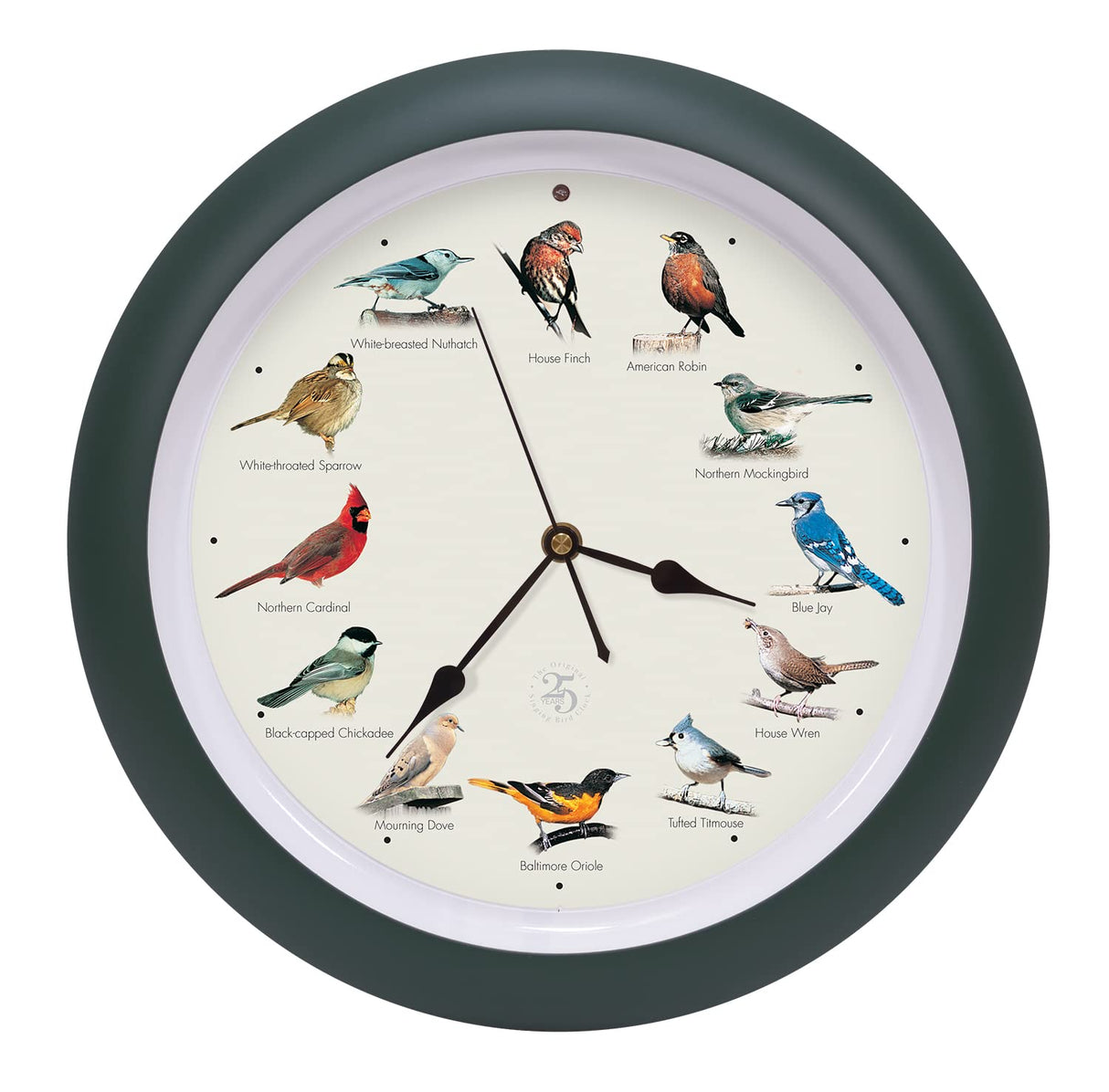 Mark Feldstein & Associates The Original Singing Bird Clock 25th Anniversary Edition, As Seen On TV (13 Inch, Matte Green) Mark Feldstein & Associates