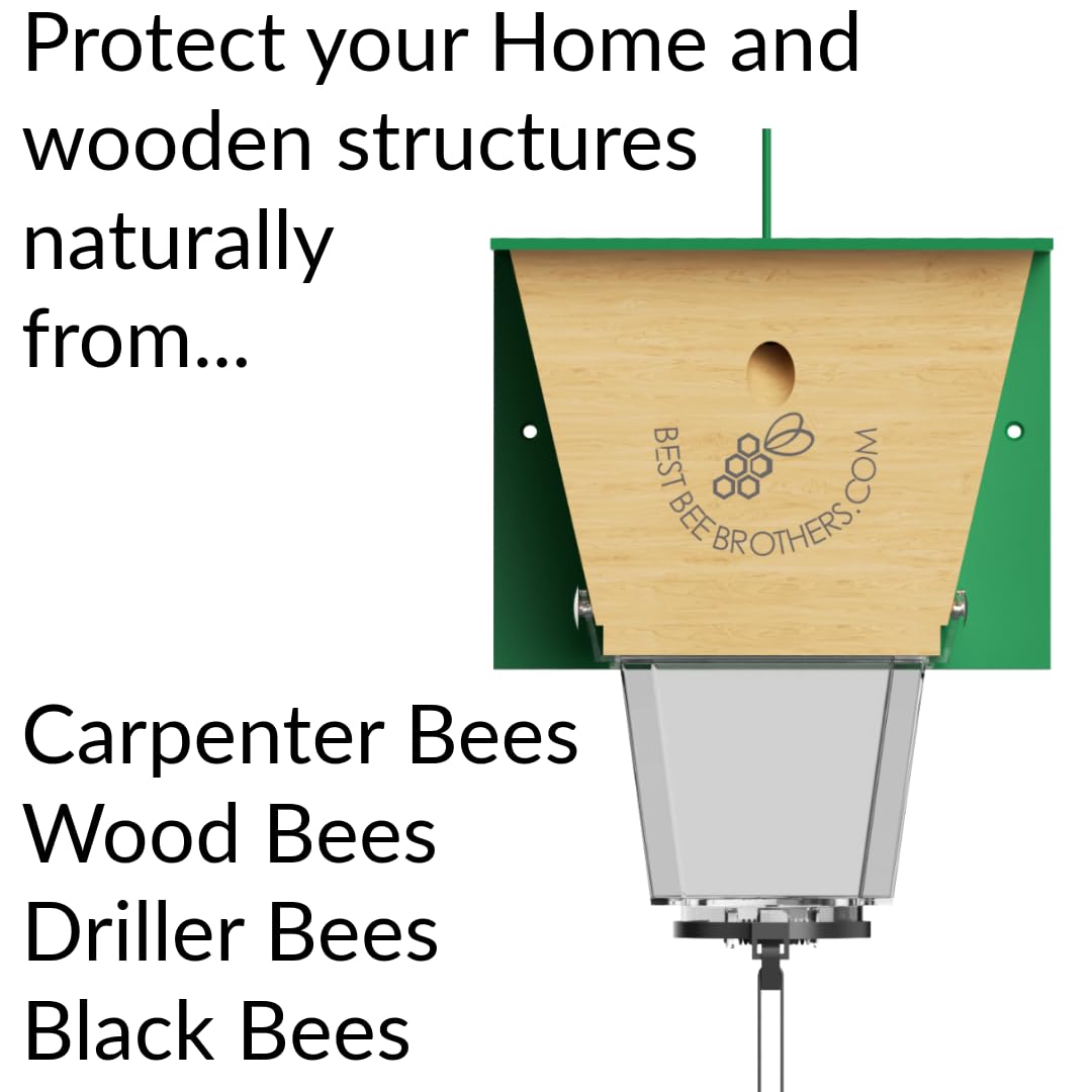 Best Bee Brothers Ultimate Pro Carpenter Bee Trap for Outside with Extra-Large, Clear External Bee Vault & Spring-Loaded Door, 4.2” D x 5.8” W x 7.5” H Best Bee Brothers