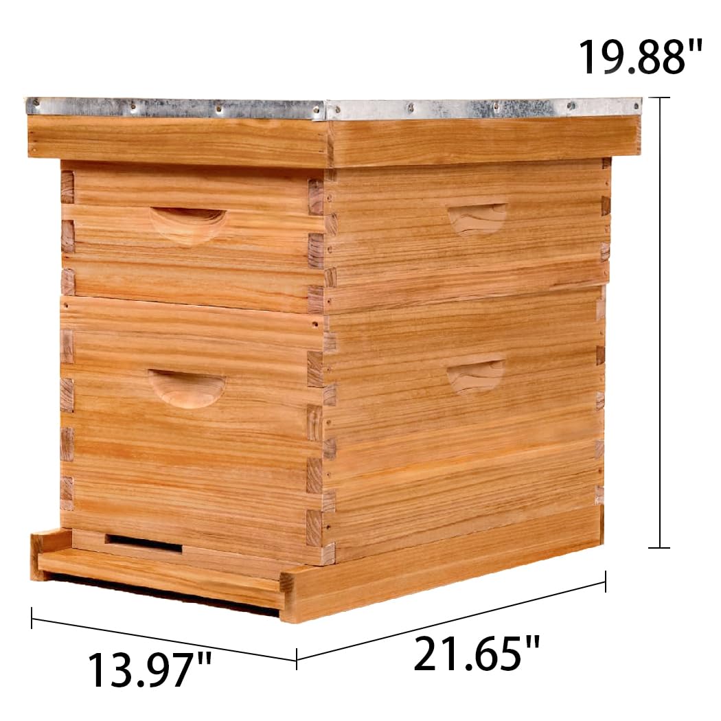 POLLIBEE Bee Hive Starter Kit, 8 Frame Bee Hives, Hive Include1 Deep Bee Box 1 Medium Beehive Box with Bee Frames and Wax Foundation,Unassembled Beehive Starter Kit for Beekeeper POLLIBEE