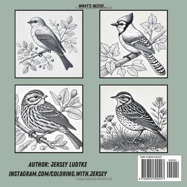 Coloring Book of Songbirds Majosta