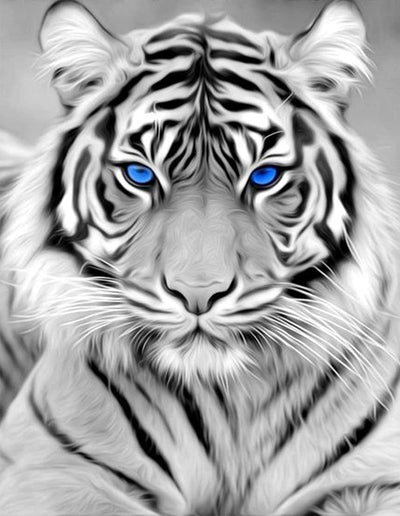 RICUVED Diamond Art Kits for Adults, White Tiger Diamond Art Full 5D Diamond Art Kits Tiger Rhinestone Picture Art Craft for Home Wall Decor 11.8x15.7 Inch