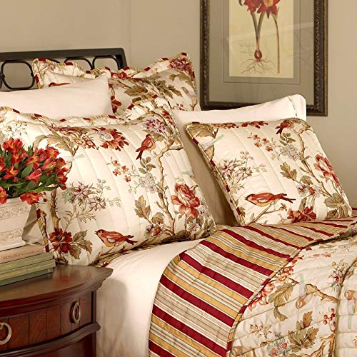 Waverly Charleston Chirp 3 Piece Quilt Set - 100% Cotton Light Weight Bedding with Bed Skirt & Pillow Shams - Twin Papaya Waverly