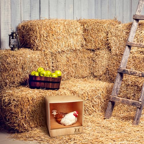 Rugged Range Products Studio 12 x 12 x 12 Inch Flat Wooden Single Compartment Chicken Coop Interior Poultry Bird Egg Animal Nesting Box Roosting Cubby Rugged Ranch
