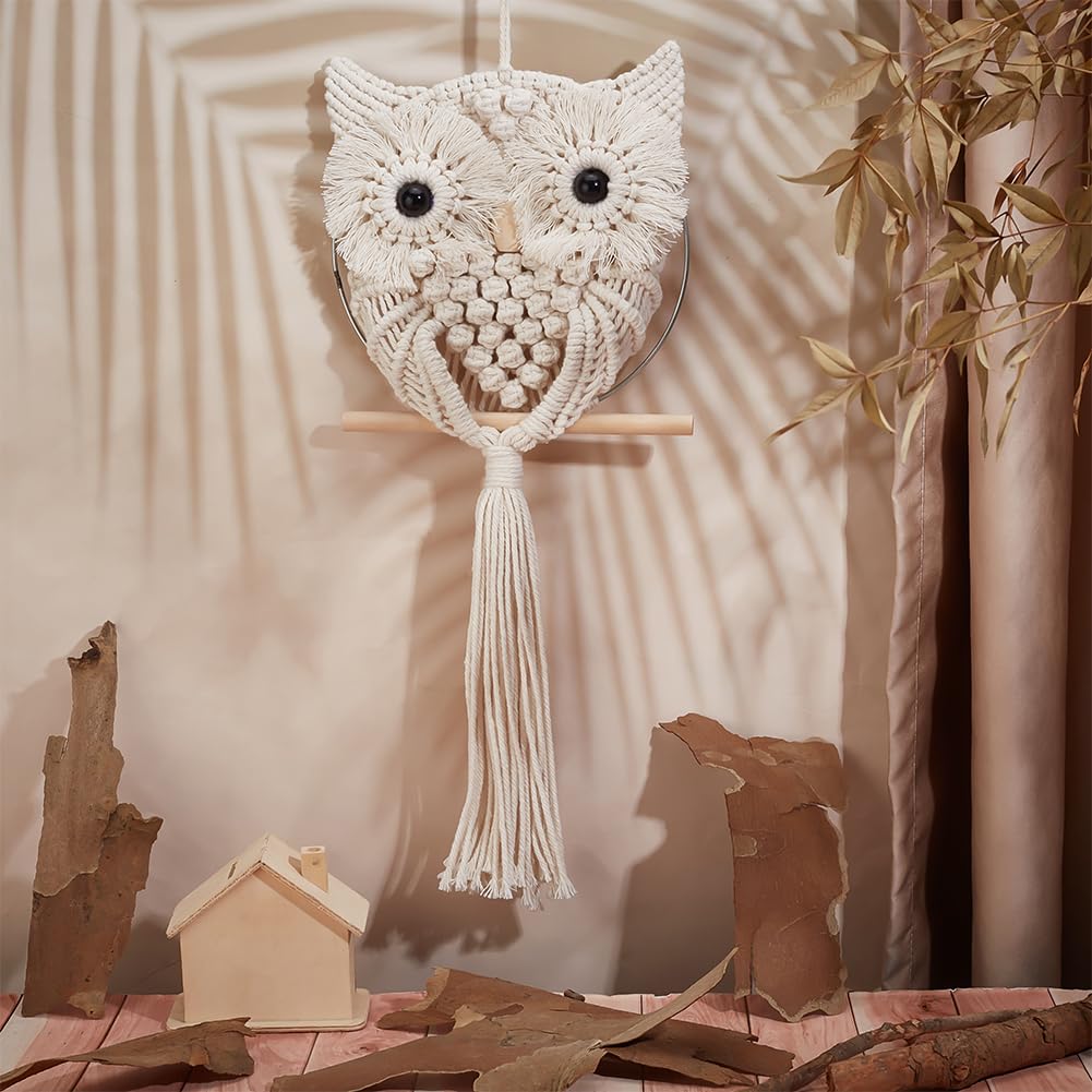 FREEBLOSS Macrame Owl Kit for Beginners Macrame Wall Hanging Kit DIY Macrame Kit with Video Tutorial Macrame Hanging Decor for Adults Gift, Naturally white FREEBLOSS