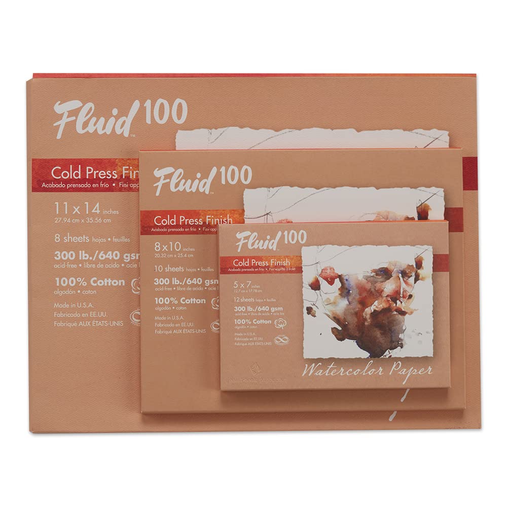 Speedball Art Products, 821716, Fluid 100 100% Cotton Artist Watercolor Paper, 8 x 10 inch pochette, 300 lb Cold Press Speedball