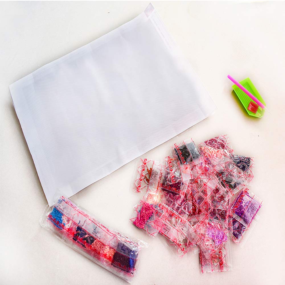 HUANNY Diamond Painting Kits, DIY Diamond Art, Full Drill Cross Stitch Canvas Art HUANNY