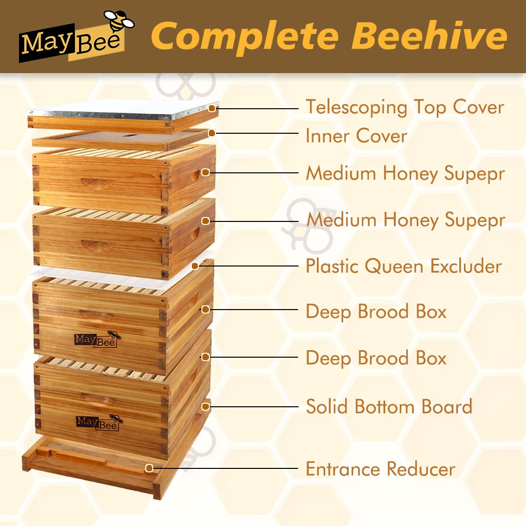 MayBee 10-Frame Langstroth Beehive Dipped in 100% Beeswax, Complete Bee Hives and Supplies Starter Kit Includes 2 Deep Hive Bee Box and 2 Bee Hive Super with Beehive Frames and Foundation MayBee