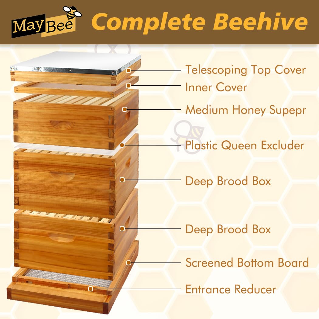 MayBee 10 Frame Screened Bottom Board Beehive Dipped in 100% Beeswax, Bee Hives Kit Includes 2 Deep Boxes & 1 Medium Box with Beehive Frames and Heavy Wax Coated Foundations.Preferred for Summer. MayBee
