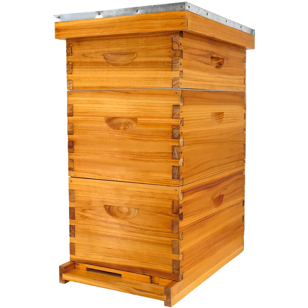 Honey Lake 8 Frame Bee Hive Kit, Langstroth Bee Hives Boxes Starter Kit for Beekeepers Dipped in 100% Beeswax Includes 2 Deep Brood Box & 1 Medium Super Bee Box with Beehive Frames and Foundations Honey Lake