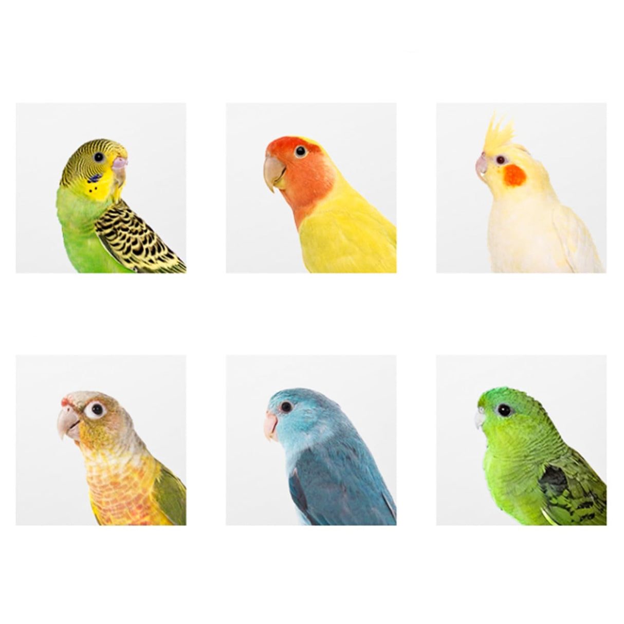 Hiceeden 2 Pack Parakeet Nest Box, Natural Wood Bird Nesting Box, Small Bird House Breeding Box for Budgie Lovebirds, Cockatiel, Parrots Mating, Aviary, 7.7×4.7×4.7 Inches Hiceeden