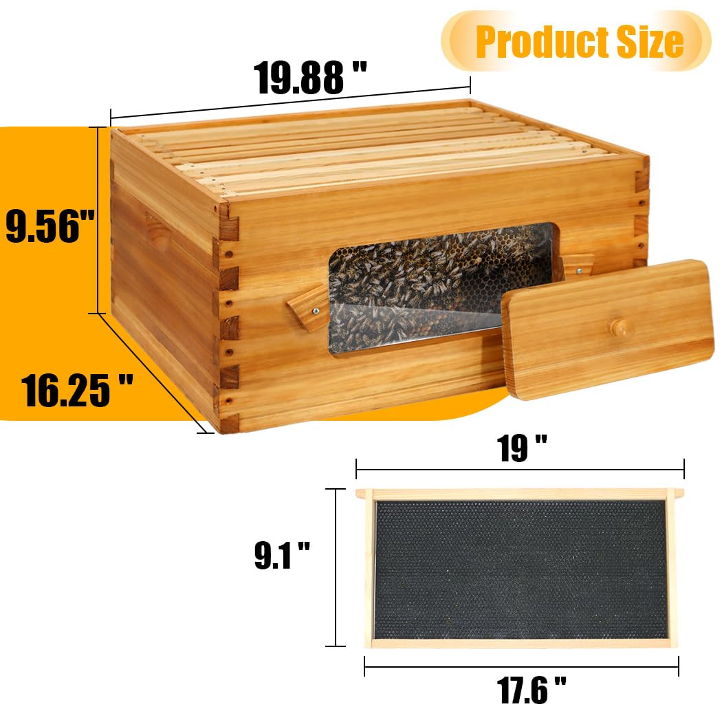 Honey Lake 10 Frame Bee Hive, Langstroth Complete Beehive Kit with Windows Dipped in 100% Beeswax with Beehive Frames and Waxed Foundations (1 Deep Brood Bee Hive Box & 1 Medium Super Bee Box) Honey Lake