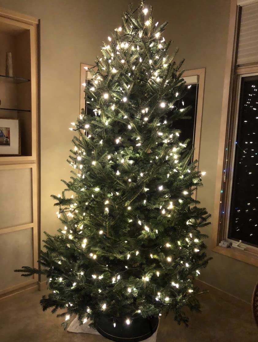 Rocky Mountain Goods Christmas Tree Stand for Live Tree with Water - Up to 8 Foot Tree - 5 Secure Eye Bolts - Steel Spike for Stability - Easy Watering for 2 Gallons - Install Real Tree in Minutes Rocky Mountain Goods