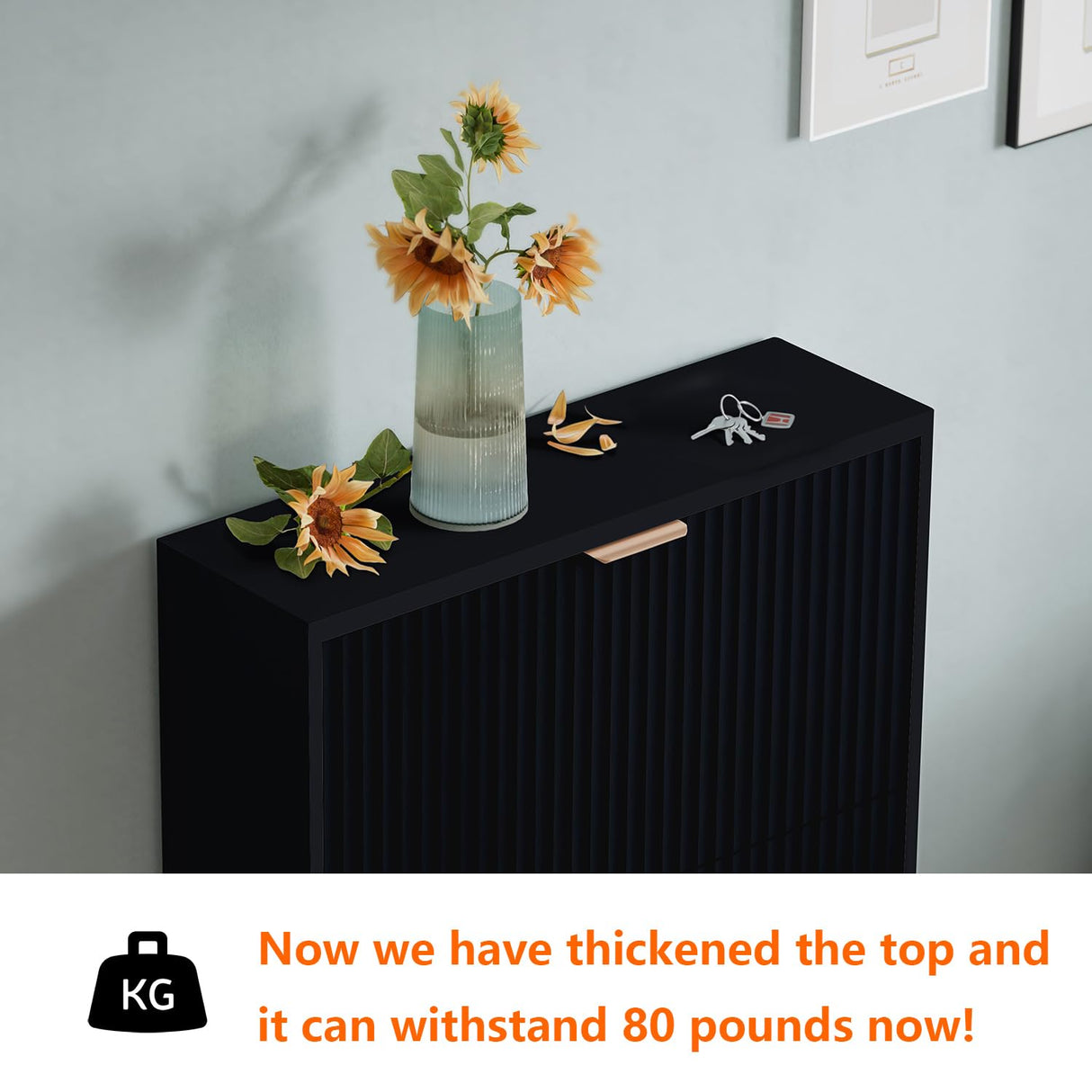 QIVOMIX Shoe Cabinet Storage,Modern Freestanding Organizer with 2 Flip Drawers,Narrow Shoe Rack Cabinet for Entryway,Black QIVOMIX