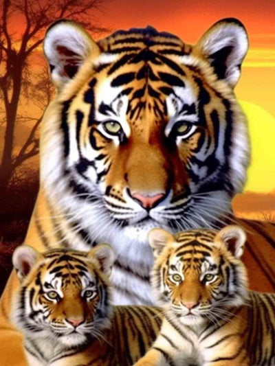 Pavemlo 5D Diamond Art Kits for Adults Three Tigers, Full Drill Diamond Art Animal Pictures Paint with Diamonds, DIY Cross Stitch Jewel Art Rhinestone Craft for Home Wall Decor 12X16 inch