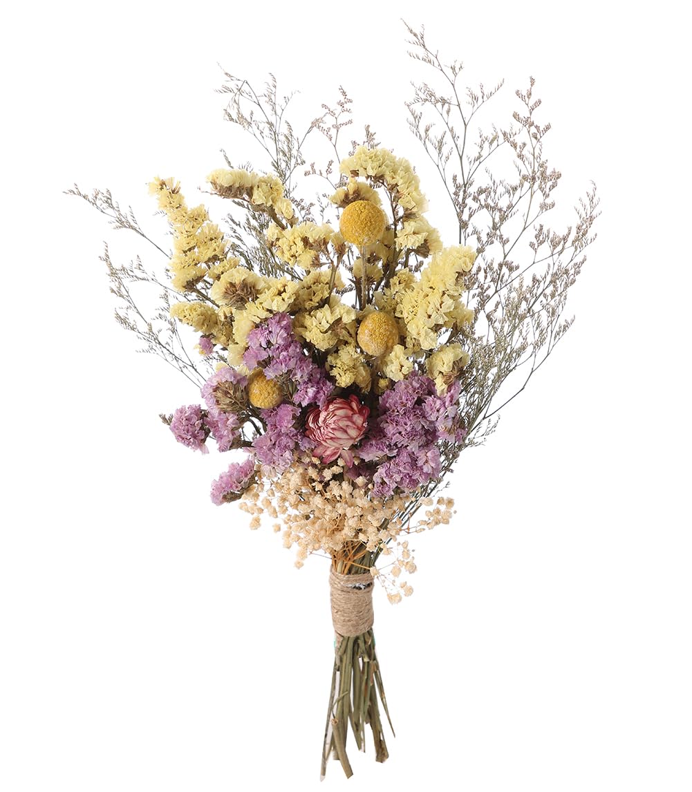 Botius 17" Natural Mixed Dried Flowers Bouquet Real Dried Lover Grass, Myosotis, Daisy, Craspedia Billy Balls Floral Arrangements for Boho Home Wedding Table Vase Décor Botius