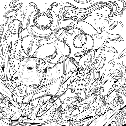 Mythographic Color and Discover: Cosmic Spirit: An Artist's Coloring Book of Tarot, Astrology, and Mystical Symbols WoodArtSupply
