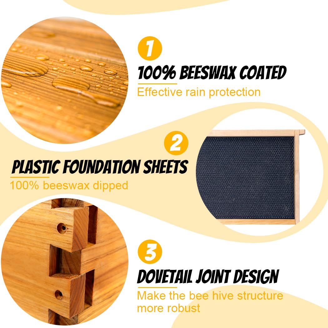 Honey Lake 10 Frame Bee Hive, Langstroth Complete Beehive Kit with Windows Dipped in 100% Beeswax with Beehive Frames and Waxed Foundations (1 Deep Brood Bee Hive Box & 1 Medium Super Bee Box) Honey Lake