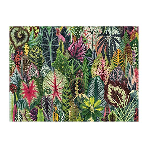 Galison Houseplant Jungle 1000 Piece Jigsaw Puzzle for Adults – Plant Jigsaw Puzzle with Mix of Succulents & Other Household Plants – Fun Indoor Activity, Multicolor Galison