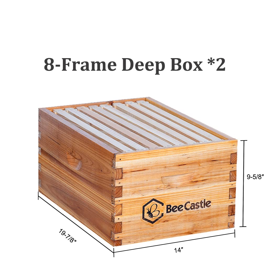 BeeCastle 8 Frame Langstroth Bee Hive Coated with 100% Beeswax Includes Beehive Frames and Waxed Foundations (2 Deep Boxes & 1 Medium Box) BeeCastle