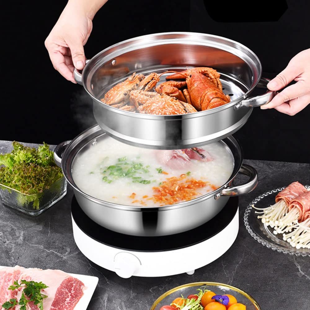 Steamer Pot for Cooking 4 Quart Steamer Pot 2-tier Multipurpose 18/8 Stainless Steel Steam Pot Cookware with Lid for Vegetable, Noodles, Pasta, Food puluru