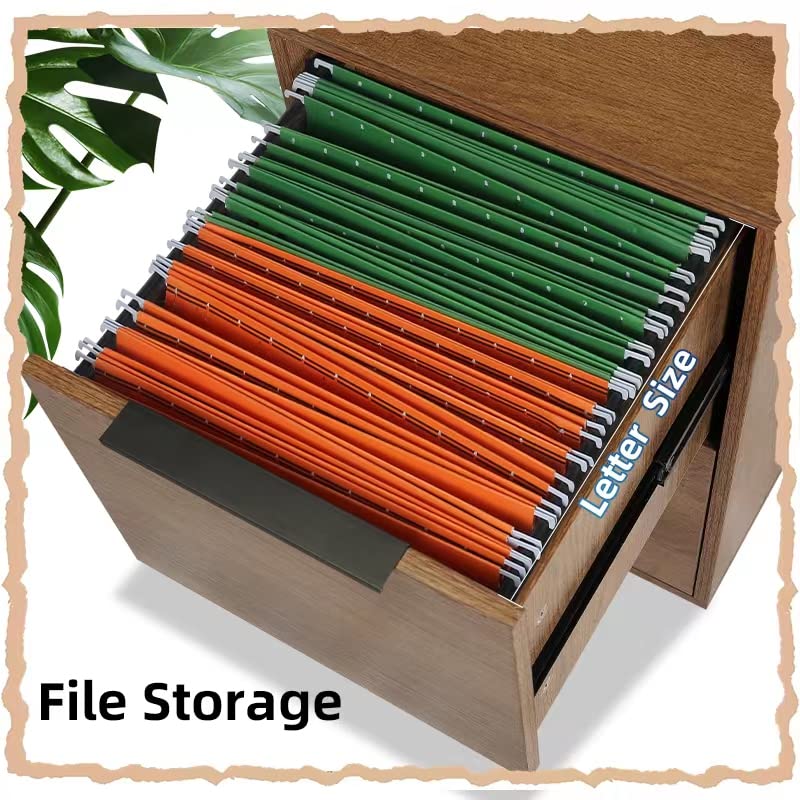 LUCYPAL Wooden File Cabinet 2 Drawer,Vertical Storage Filing Cabinet with Hanging Bars for Letter Size,File Storage Cabinet Used for Home Office, LUCYPAL
