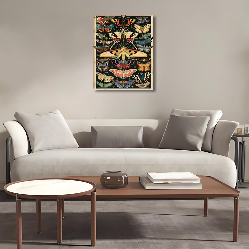 HULDFRDA Paint by Numbers Kit for Adults Butterflies and Moths Paint by Numbers Insect Paint by Number Kits DIY Oil Painting by Numbers Adults' Paint-by-Number Kits Home Wall Decor,16x20 Inch HULDFRDA