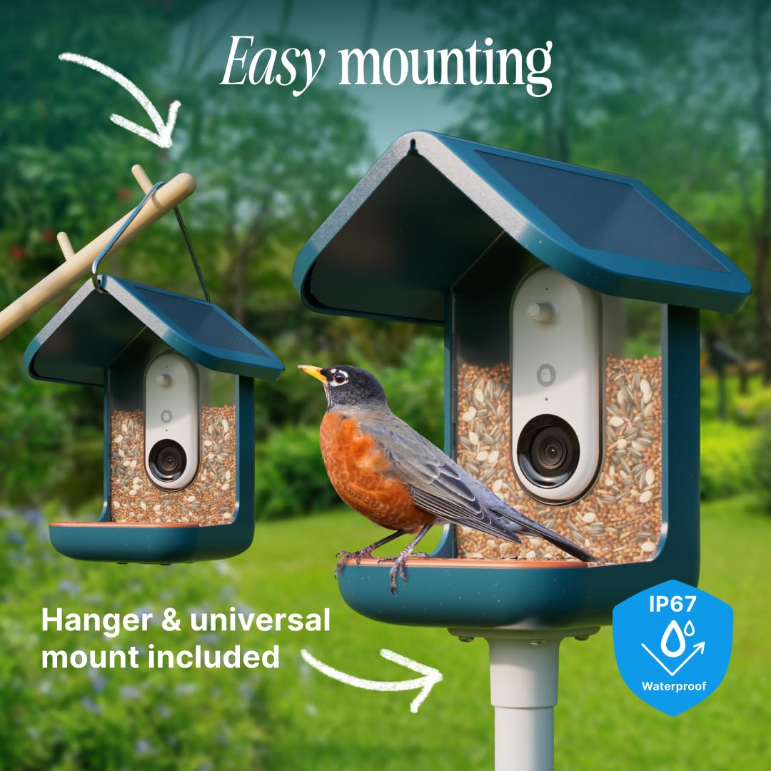 Bird Buddy Pro Solar Smart Bird Feeder with Camera - Ai Bird Species Identification, 5Mp Photos, 2K Ultra Video Live Stream Camera, Slow-Motion Video, 2.6In Focus - Blue Solar Bird Buddy