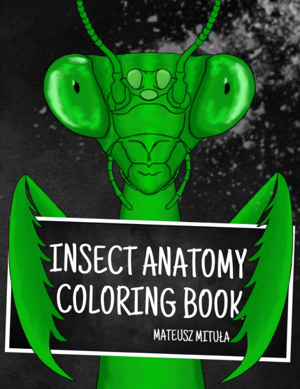 Insect Anatomy Coloring Book: Bug, Veterinary Anatomy Coloring Book, (Did You Know? Fun Facts) Majosta