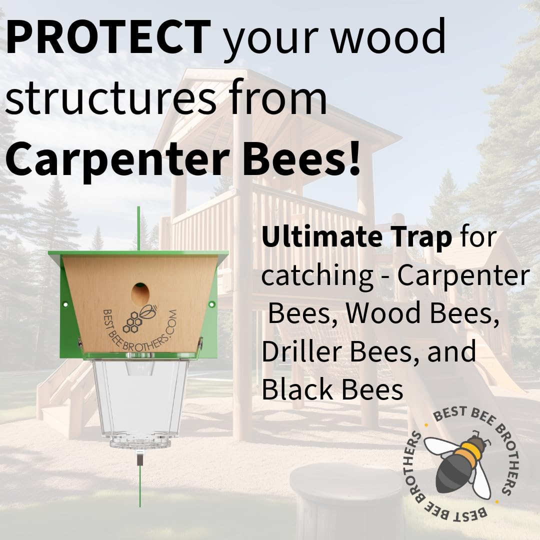 Best Bee Brothers Ultimate Carpenter Bee Trap for Outside with Large, Clear External Bee Vault & Spring-Loaded Door, 5.75" L x 6" W x 4.5" H Best Bee Brothers